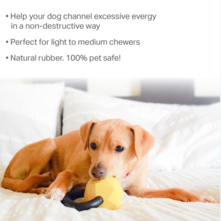Friends Forever Kettlebell Chew Toy
