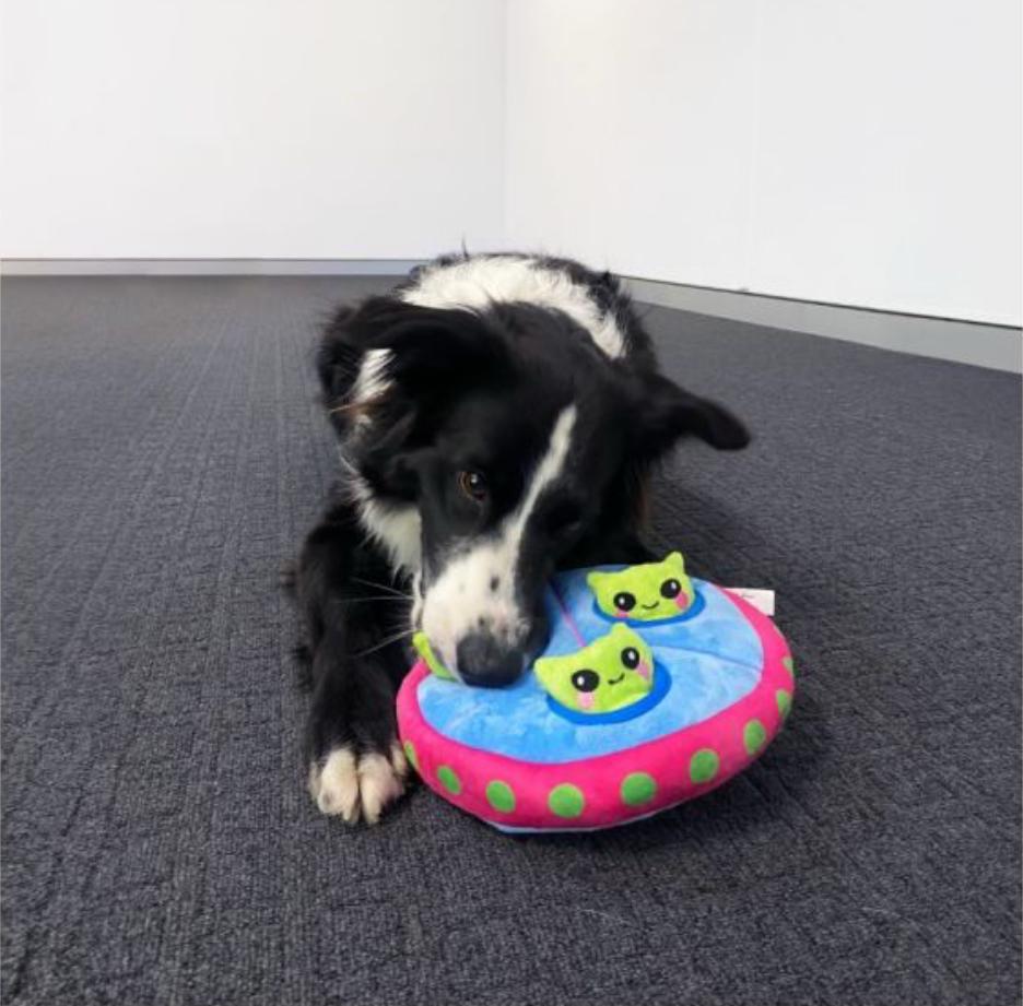 HugSmart Space Paws UFO Toy