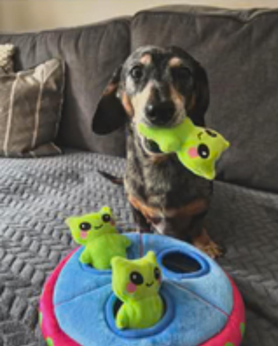 HugSmart Space Paws UFO Toy