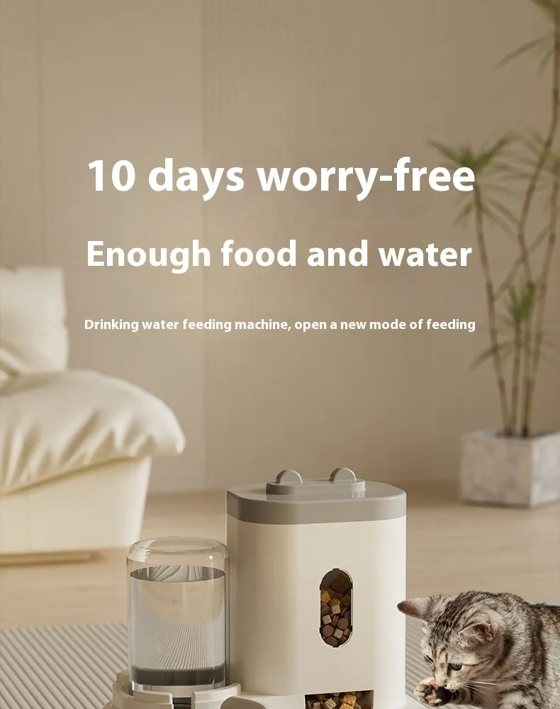 Fresh Flow Feeder & Fountain