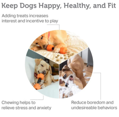 Friends Forever Kettlebell Chew Toy