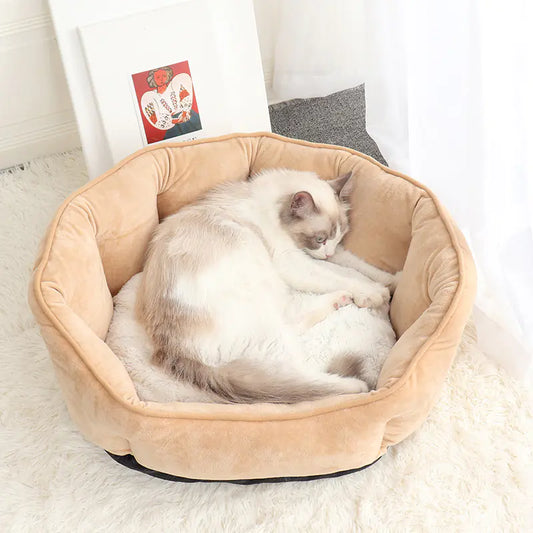 Clam Up Cozy Bed